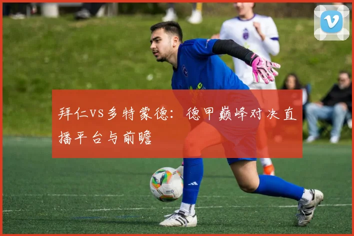 拜仁vs多特蒙德：德甲巅峰对决直播平台与前瞻