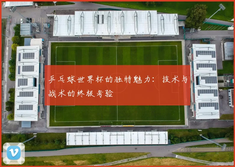 乒乓球世界杯的独特魅力：技术与战术的终极考验