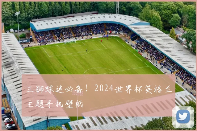 三狮球迷必备！2024世界杯英格兰主题手机壁纸