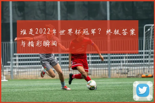 谁是2022年世界杯冠军？终极答案与精彩瞬间