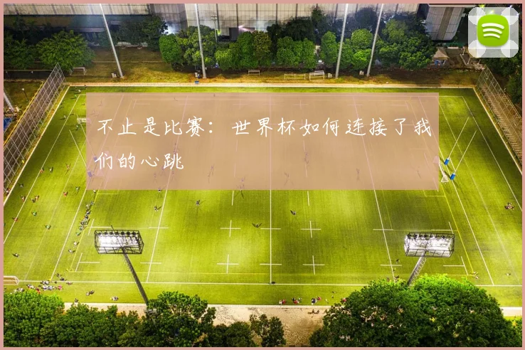 不止是比赛：世界杯如何连接了我们的心跳