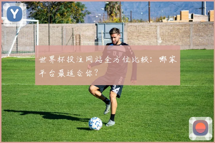 世界杯投注网站全方位比较：哪家平台最适合你？