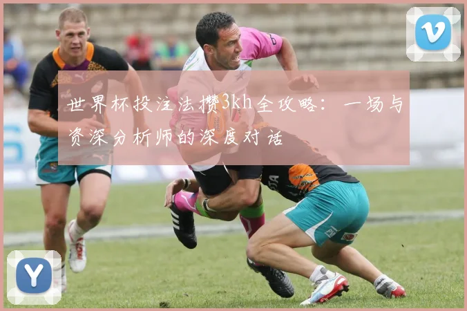 世界杯投注法攒3kh全攻略：一场与资深分析师的深度对话