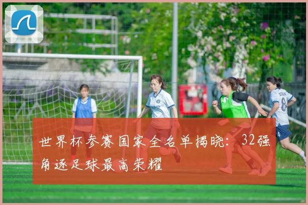 世界杯参赛国家全名单揭晓：32强角逐足球最高荣耀