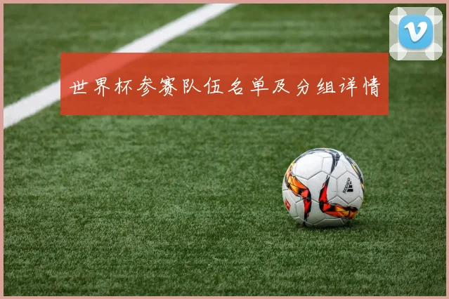 世界杯参赛队伍名单及分组详情