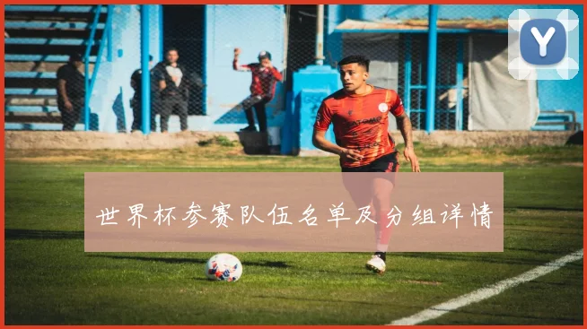 世界杯参赛队伍名单及分组详情