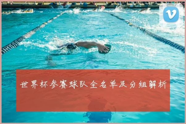世界杯参赛球队全名单及分组解析